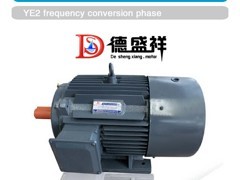 邢臺電動機|優質的三相異步電動機供應商圖片|邢臺電動機|優質的三相異步電動機供應商產品圖片由鄭州德盛祥電機制造有限公司公司生產提供-企業庫網